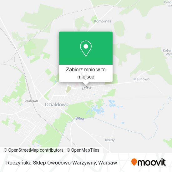 Mapa Ruczyńska Sklep Owocowo-Warzywny