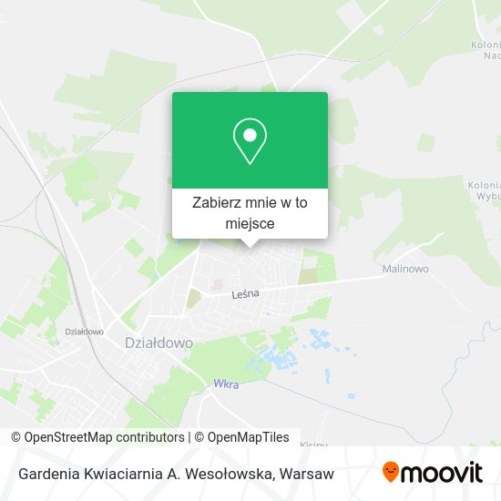 Mapa Gardenia Kwiaciarnia A. Wesołowska