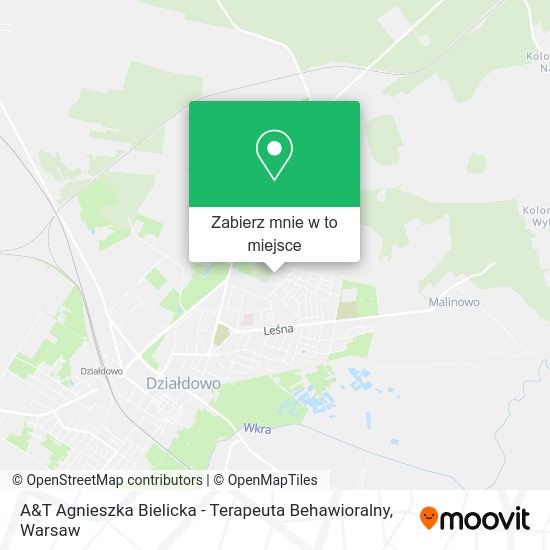 Mapa A&T Agnieszka Bielicka - Terapeuta Behawioralny