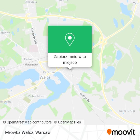 Mapa Mrówka Wałcz