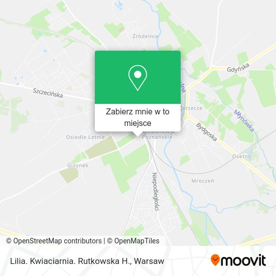 Mapa Lilia. Kwiaciarnia. Rutkowska H.