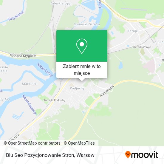 Mapa Blu Seo Pozycjonowanie Stron