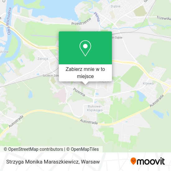 Mapa Strzyga Monika Maraszkiewicz