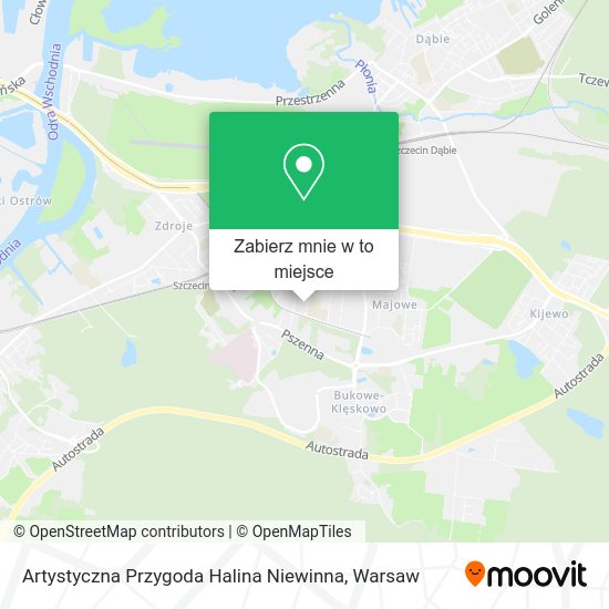 Mapa Artystyczna Przygoda Halina Niewinna