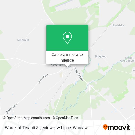 Mapa Warsztat Terapii Zajęciowej w Lipce