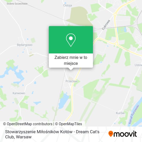 Mapa Stowarzyszenie Miłośników Kotów - Dream Cat's Club