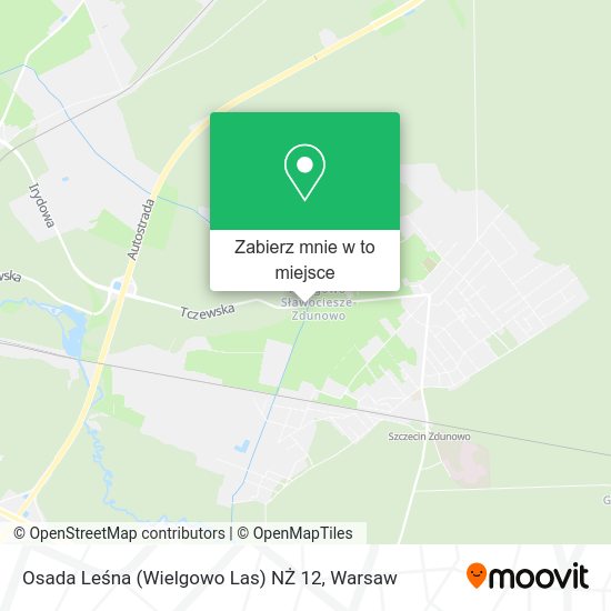 Mapa Osada Leśna (Wielgowo Las) NŻ 12