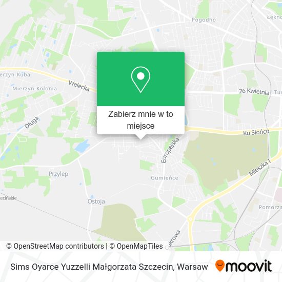 Mapa Sims Oyarce Yuzzelli Małgorzata Szczecin