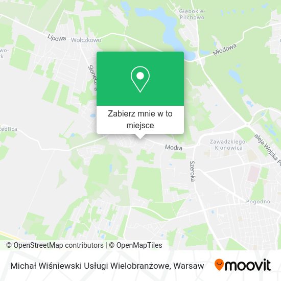 Mapa Michał Wiśniewski Usługi Wielobranżowe