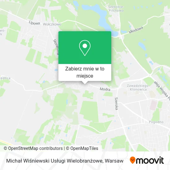 Mapa Michał Wiśniewski Usługi Wielobranżowe