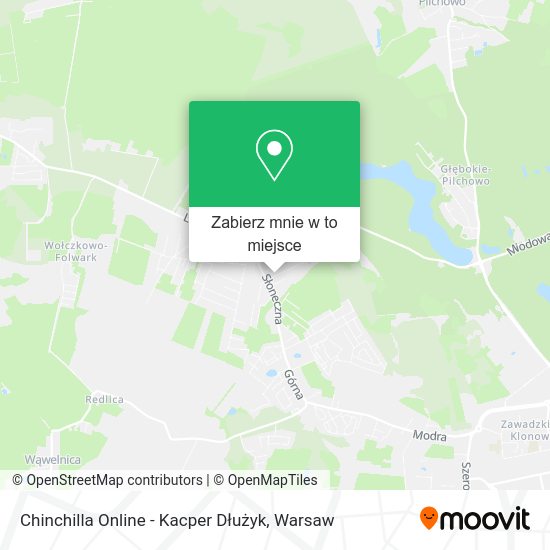 Mapa Chinchilla Online - Kacper Dłużyk