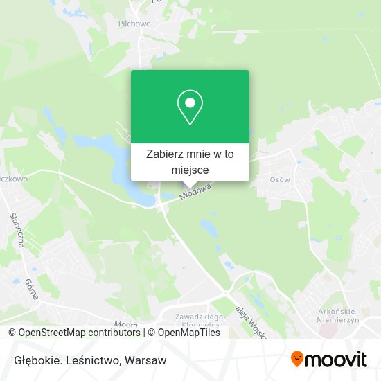 Mapa Głębokie. Leśnictwo