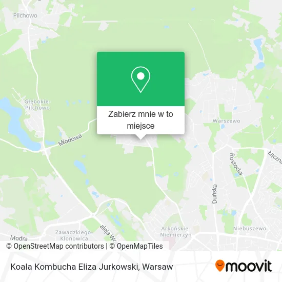 Mapa Koala Kombucha Eliza Jurkowski