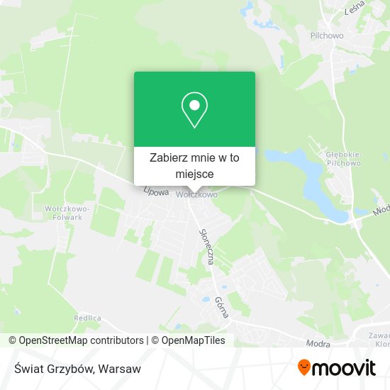 Mapa Świat Grzybów