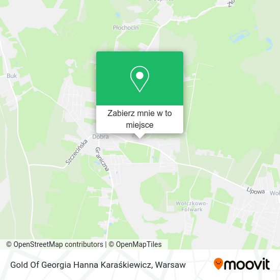 Mapa Gold Of Georgia Hanna Karaśkiewicz