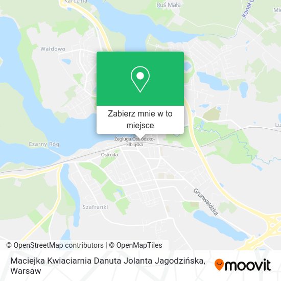 Mapa Maciejka Kwiaciarnia Danuta Jolanta Jagodzińska