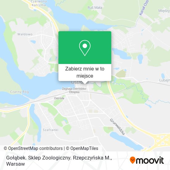 Mapa Gołąbek. Sklep Zoologiczny. Rzepczyńska M.