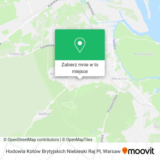 Mapa Hodowla Kotów Brytyjskich Niebieski Raj Pl