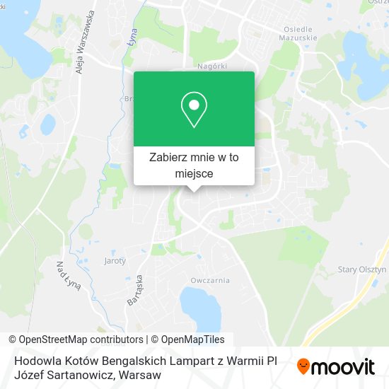 Mapa Hodowla Kotów Bengalskich Lampart z Warmii Pl Józef Sartanowicz