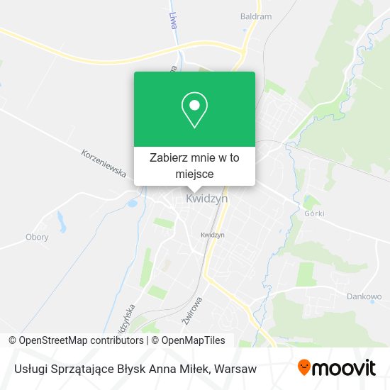 Mapa Usługi Sprzątające Błysk Anna Miłek