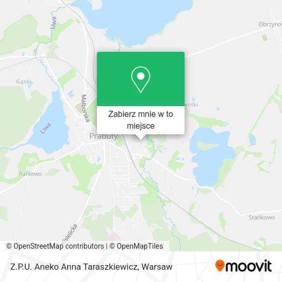 Mapa Z.P.U. Aneko Anna Taraszkiewicz