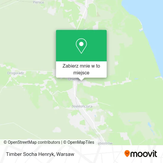 Mapa Timber Socha Henryk