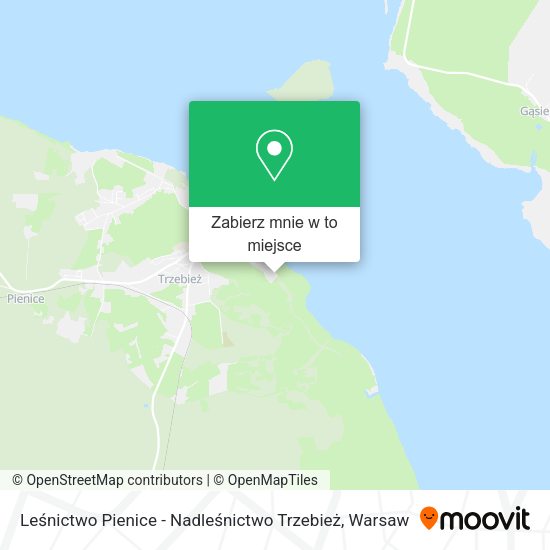 Mapa Leśnictwo Pienice - Nadleśnictwo Trzebież