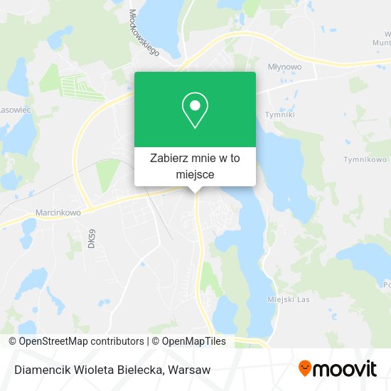 Mapa Diamencik Wioleta Bielecka