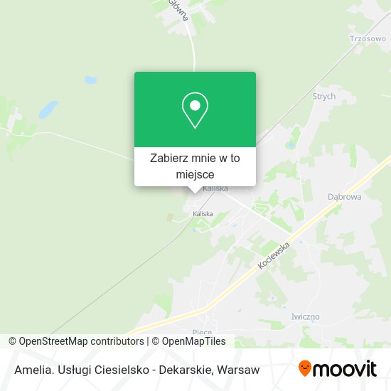 Mapa Amelia. Usługi Ciesielsko - Dekarskie