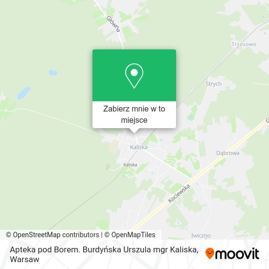 Mapa Apteka pod Borem. Burdyńska Urszula mgr Kaliska