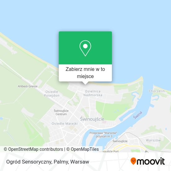 Mapa Ogród Sensoryczny, Palmy