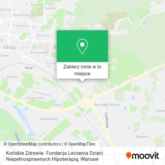 Mapa Końskie Zdrowie. Fundacja Leczenia Dzieci Niepełnosprawnych Hipoterapią