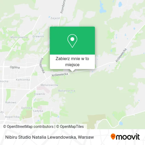 Mapa Nibiru Studio Natalia Lewandowska