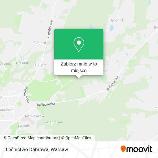 Mapa Leśnictwo Dąbrowa