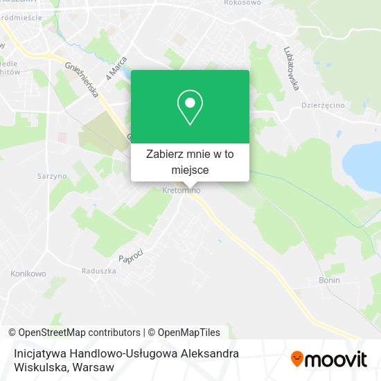 Mapa Inicjatywa Handlowo-Usługowa Aleksandra Wiskulska