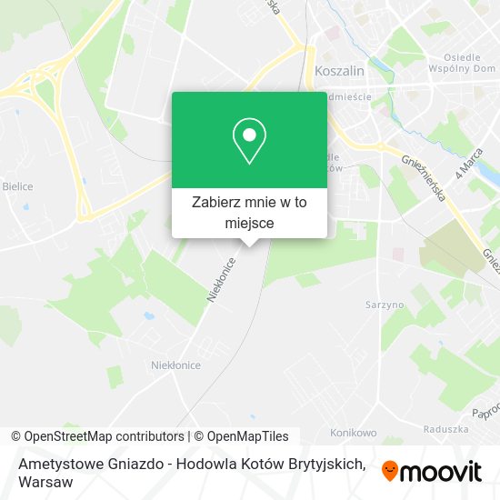 Mapa Ametystowe Gniazdo - Hodowla Kotów Brytyjskich