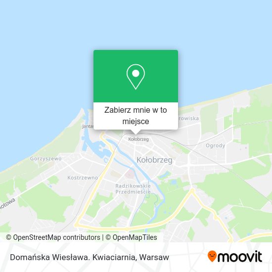 Mapa Domańska Wiesława. Kwiaciarnia