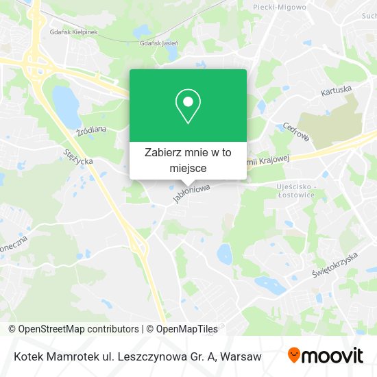 Mapa Kotek Mamrotek ul. Leszczynowa Gr. A