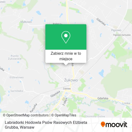 Mapa Labradorki Hodowla Psów Rasowych Elżbieta Grubba