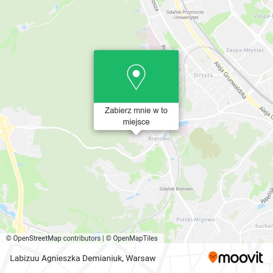 Mapa Labizuu Agnieszka Demianiuk