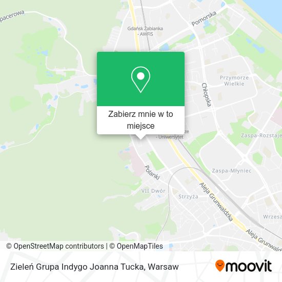 Mapa Zieleń Grupa Indygo Joanna Tucka