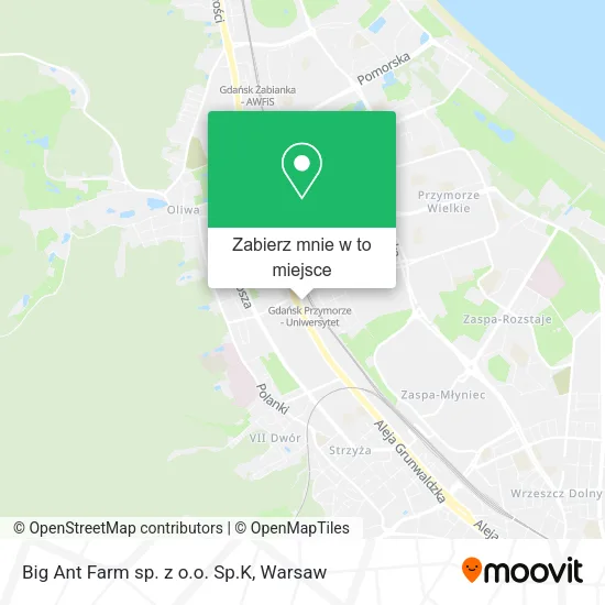 Mapa Big Ant Farm sp. z o.o. Sp.K