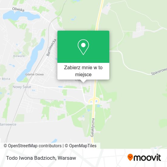 Mapa Todo Iwona Badzioch