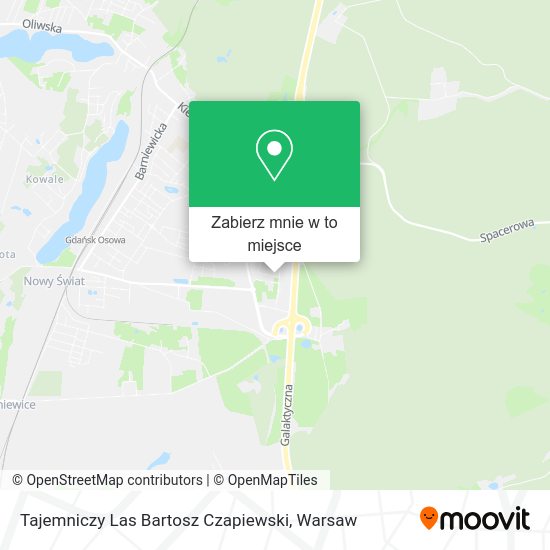 Mapa Tajemniczy Las Bartosz Czapiewski