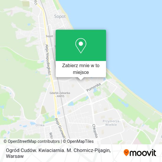 Mapa Ogród Cudów. Kwiaciarnia. M. Chomicz-Pijagin