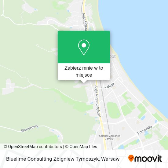 Mapa Bluelime Consulting Zbigniew Tymoszyk