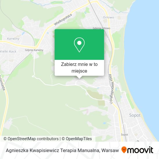 Mapa Agnieszka Kwapisiewicz Terapia Manualna