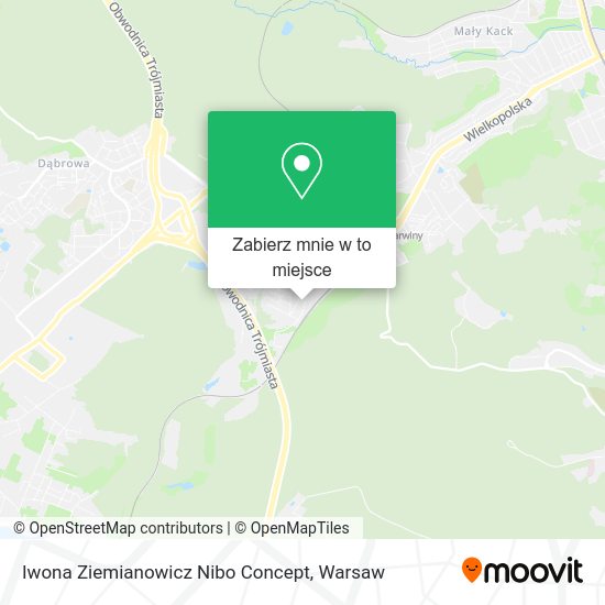 Mapa Iwona Ziemianowicz Nibo Concept