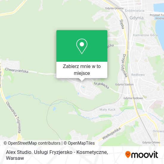 Mapa Alex Studio. Usługi Fryzjersko - Kosmetyczne