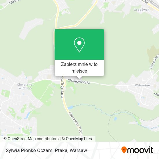 Mapa Sylwia Pionke Oczami Ptaka